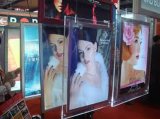 fashion LED Light Box for Advertising