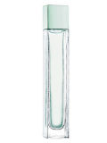 100ml Perfume Glass Bottle