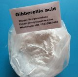 Plant Growth Regulator Gibberellin Ga3 High Purity Gibberellic Acid