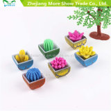 Novelty Water Grow up Plants Mini Cactus Flower Growing Pet Plants Toys