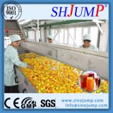 Loquat Juice and Loquat Syrup Production Machinery Export Worldwide