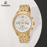 Women's Chronograph Gold Tone Stainless Steel Watch Quartz Wristwatch 71304