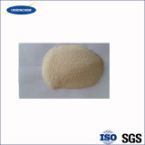 New Technology Xanthan Gum in Application of Food with Best Price