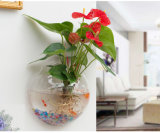 Creative Acrylic Hanging Wall Mount Fish Tank Bowl Vase