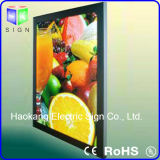 LED Light Panel for Menu Board Advertising Display