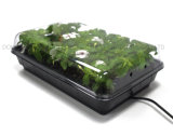 Mini-Greenhouse Hot Heated Seedling Heat House