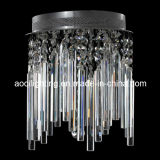 2014 Modern Small Ceiling Lamp 88224