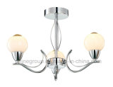 Phine Group Ceiling Lamp with Glass Shade PC-0013