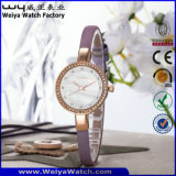 Custom Logo Quartz Watch Ladies Fashion Wrist Watches (WY-075B)