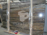 Petrified Wood Granite Slabs