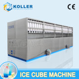 Big Capacity 10 Tons Ice Cube Machine with Packing System