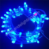 Fancy 12V Replaceable Decorative LED Christmas Clip String Lights