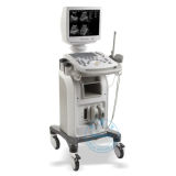 Ultrasound Scanner (3D function optional) (Win 500V)