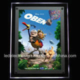 Acrylic Panel Advertising for LED Light Box