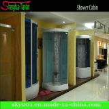 Luxury Tempered Painted Glass Steam Massage Bath Room (TL-8893)