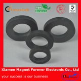 Strong Pamernent Y30 Ferrite Ring Magnet