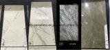 Building Material Full Body Marble Natural Porcelain Tile