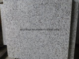 China Bala White/Chiva White/Polished/Flamed/Honed Granite Slab for Tile/Countertop/Vanity Top/Worktop