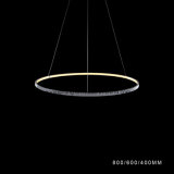 Simplify One Ring LED Acrylic Modern Pendant Lamp (AQ-66036-D6)