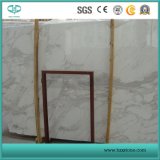 Statuary White Marble/Pure White Marble/Royal White Marble for Sale