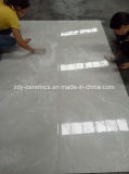 Building Material Natural Stone Foshan Full Body Marble Floor Tiles