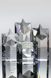 PRO Star Crystal Award