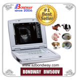 Digital Laptop Veterinary Ultrasound Scanner, Vet Ultrasonic Scanner, Portable Ultrasound