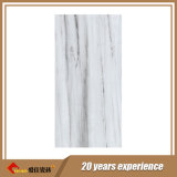 Calacatta Full Body Marble Flooring Tiles in China (PD1620101P/PD1620102P)