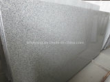 Mountain White G603 Granite Slabs for Countertops, Tiles, Paving Stone