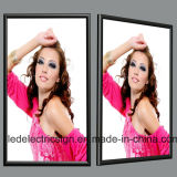 LED Acrylic Sheet Snap Frame Light Box