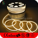 Building Decoration 9*16mm Neon LED Flex Lights