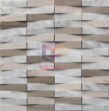 Natural Stone Mosaic Tile (CFS884)