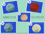 Large Quantity Ammonium Sulphate Supply