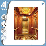 Ce Approved Automatic Door Passenger Lift