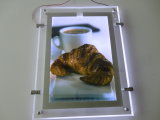 LED Crystal Display Light Box (MDCLB-A4)