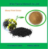 Natural Glossy Privet Fruit Extract for Sale