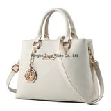 2017 New Designs PU Leather Lady Handbag (FTE-025)