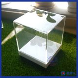 Custom Clear Acrylic Display Cases Box