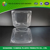 Blister Crystal Storage Fresh Food Container