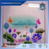 Colorful Decorative Acrylic PMMA Sheet (HST 01)