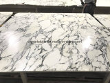 Chinese Arabascata White Marble Slab for Bathroom Countertop and Tile