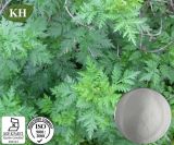 Artemisia Annua Extract Powder Artemisinin 99%