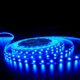 SMD5050 60 PCS RGB Color Changing LED Strip Light