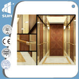 China Manufacturer Elevator of Speed 0.5m/S with Ce Certificate