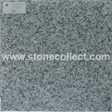 Padang Light Grey Granite G603 Tiles Slabs (Perla White / Padang Crystal)