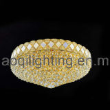 2011 Modern Ceiling Lamp (AQ-5006)