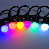 Outdoor G50 Bulb IP65 LED Belt Light for Christmas Decoration