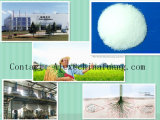 Agricultural Chemicals Bactericide Bactericide Agrochemical Fungicide 119446-68-3 Difenoconazole