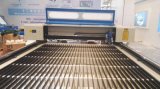 Metal and Non-Metal Laser Cutting Machine for Sale with Mixed Cutting Control System