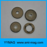 Permanent AlNiCo Magnet Ring for Meter